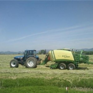 new bailer