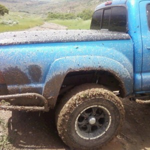 Photo-0007