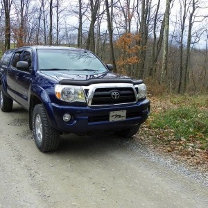 Goin Deep 05 indigo ink pearl DC TRD