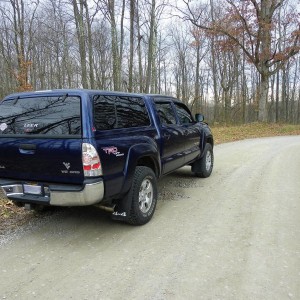 Goin Deep 05 indigo ink pearl DC TRD