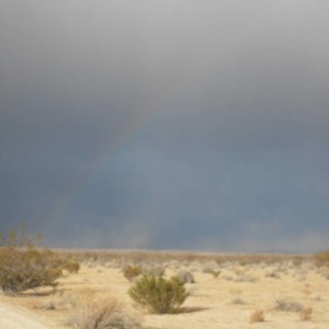 my dust trail blowing by a rainbow