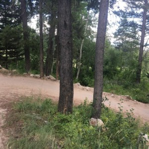 Ripping through a tight series of turns, Hand slipped off the bar here, sent it right off the trail, bike hit the rock and right tree, and I flew thro