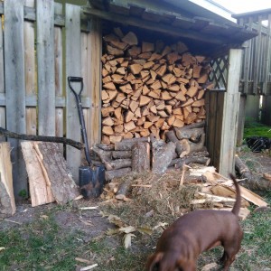 Firewood.successful