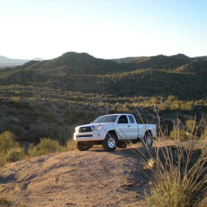 sycamore creek