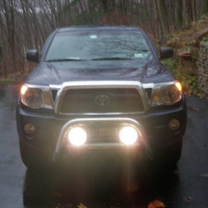 Just the fogs