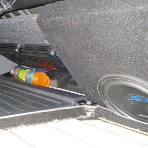 Alpine 10'' Subwoofer