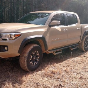 Dirty Taco