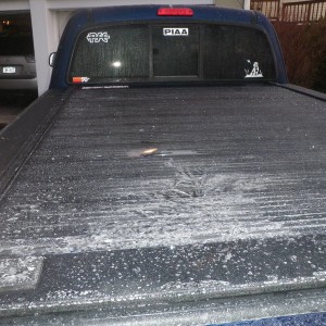 Icy Taco