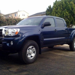 blue_taco_11