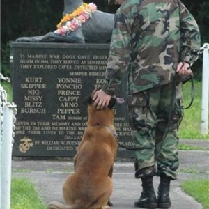 Respect1