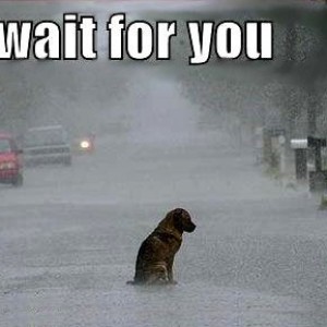 I_Waited