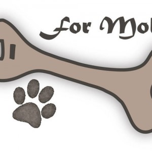 molly11