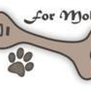 sigpic13575_1