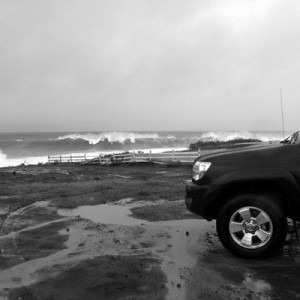 Winter Swell