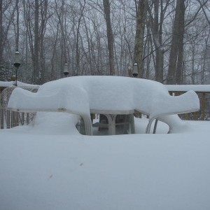 Winter_2009_012