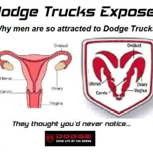 dodgetruck5uz