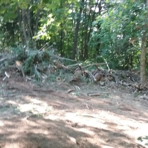 20180708_170531