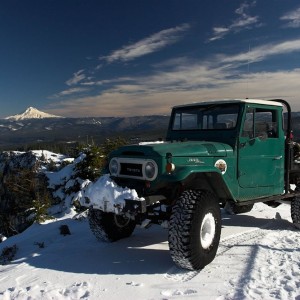 Fj454-goat