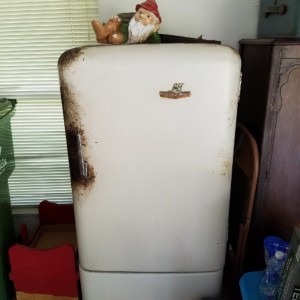 An almost 80 yr old fridge still keeping them frosty