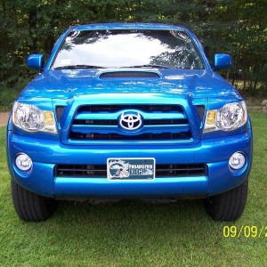 Dad's taco