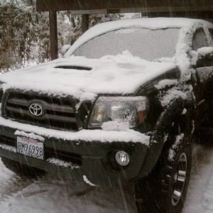 out in the snow