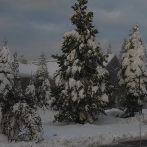 MG_6701