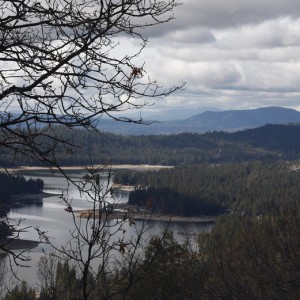 MG_6927