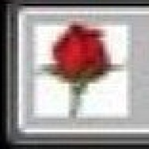 TWFavicon10