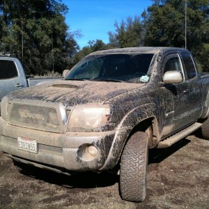 Mud15