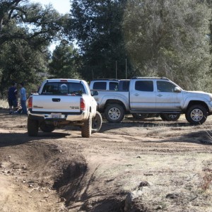 Pine Valley 1/3/10