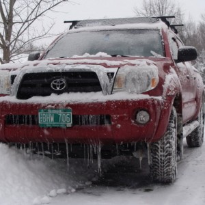 icicles