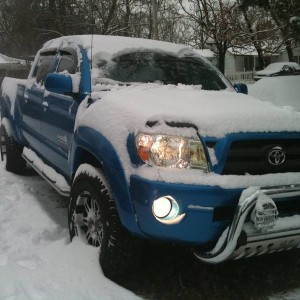 taco in the snow