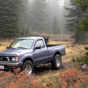 On the flank of Mt. Lassen, CA.