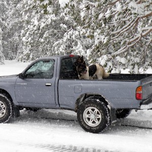 Butte Meadows CA.