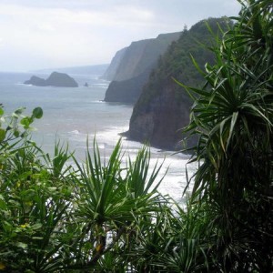 Pololu_048