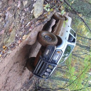 uwharrie natl forest....tacoma fall meet 09