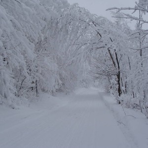 114 up to Canaan