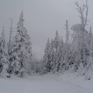On top of the mountain