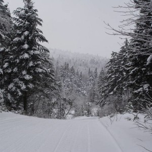 DSC02903