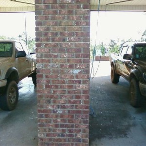 pics of the taco