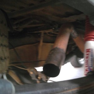 pics of the taco