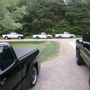 pics of the taco