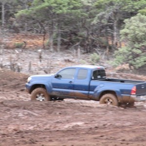 Cow_Mtn2010-7