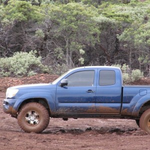 Cow_Mtn2010-8