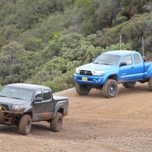 Cow_Mtn2010-6