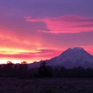 Mt Rainier Sunrise