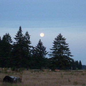 Ft_Lewis-_Fall_09_0021