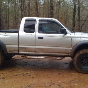 Bored this morning in the woods