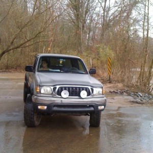 Bored this morning in the woods