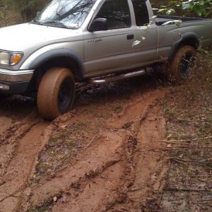 Bored this morning in the woods